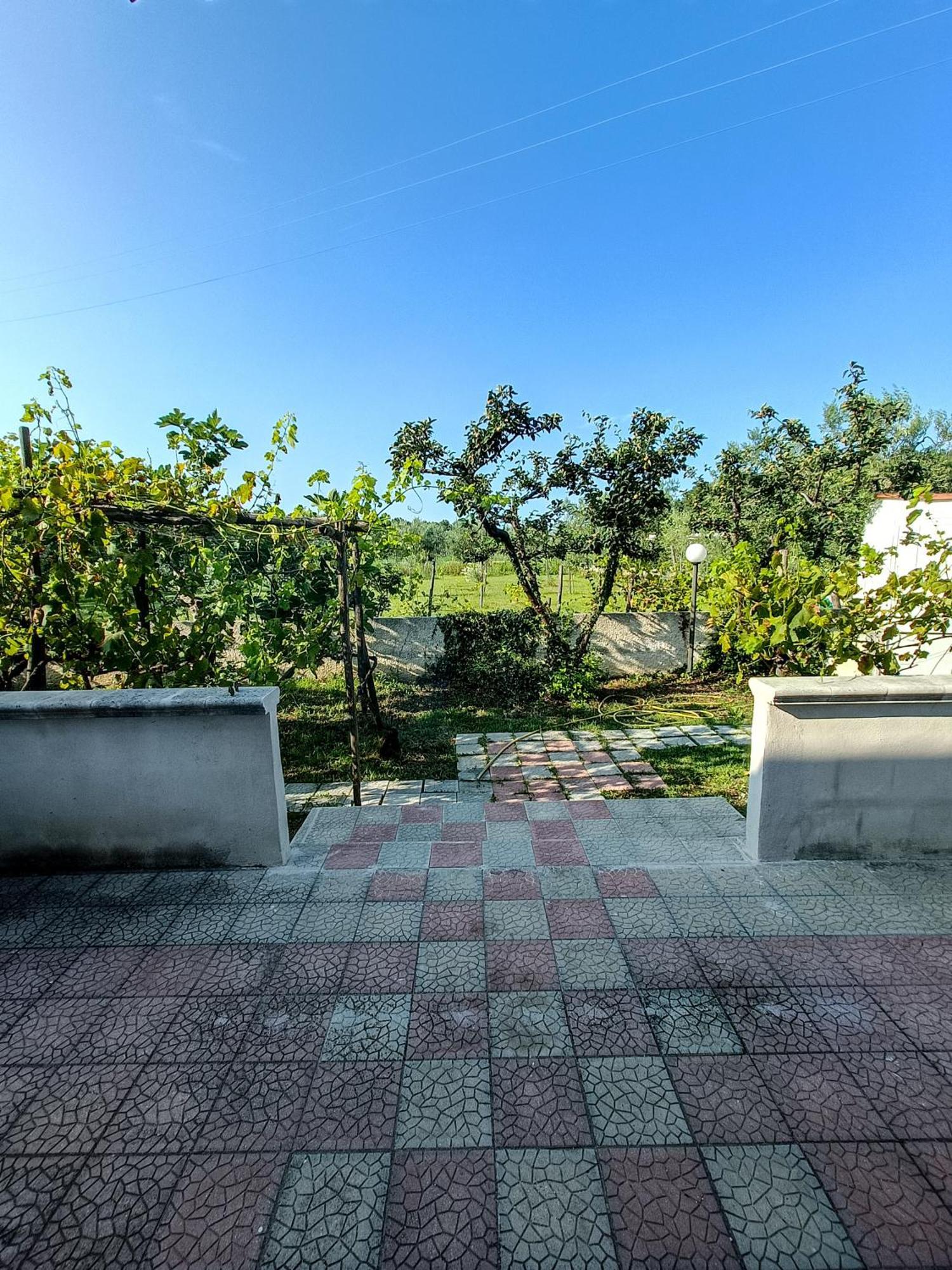 Il Giunco B&B Vieste Kamer foto