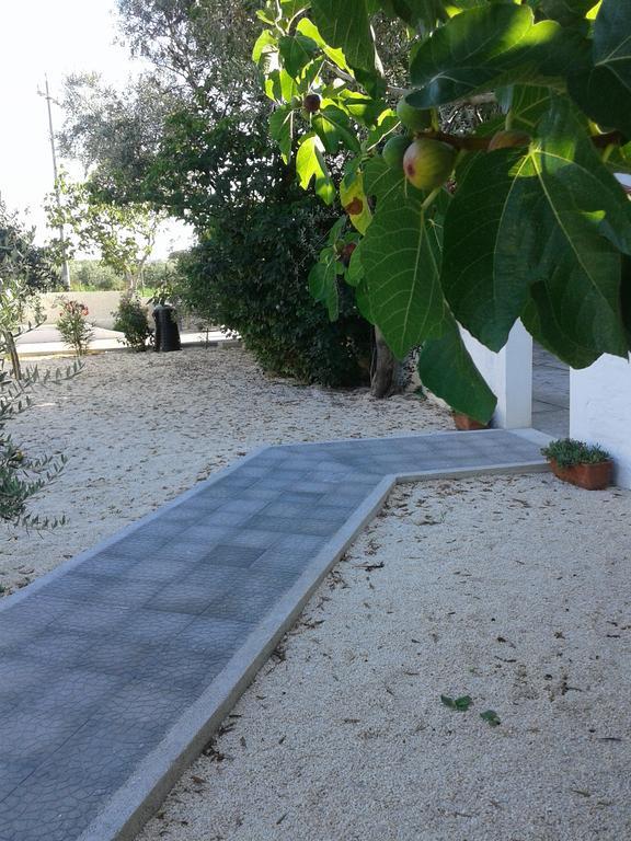 Il Giunco B&B Vieste Buitenkant foto