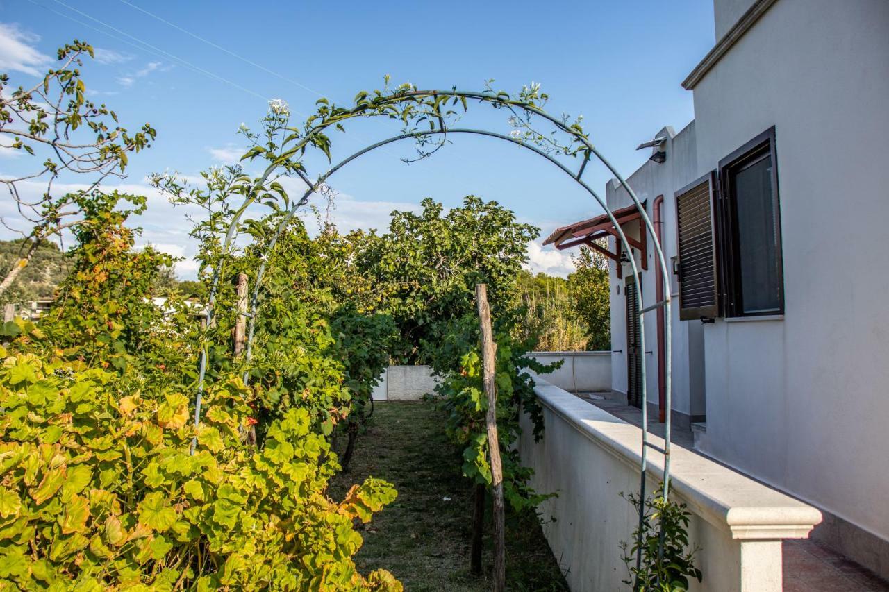 Il Giunco B&B Vieste Buitenkant foto